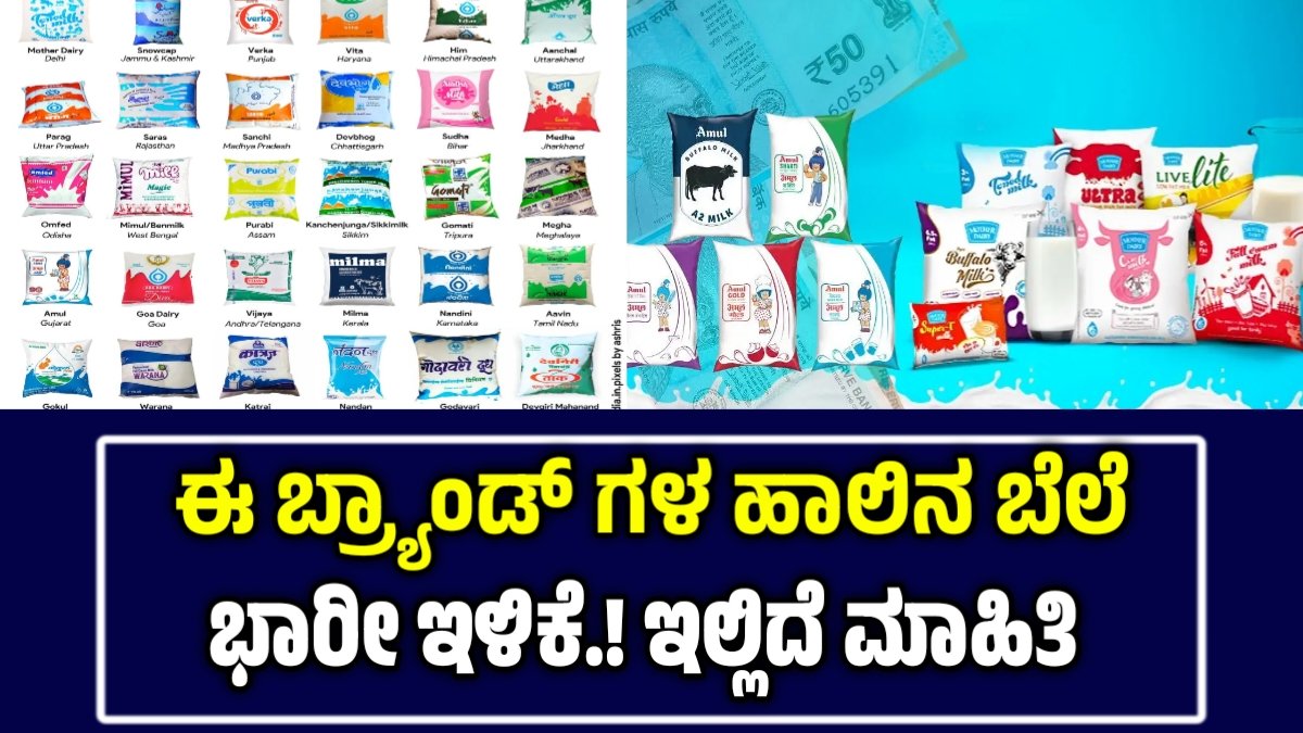 Milk Price