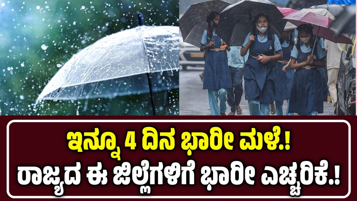Rain Alert